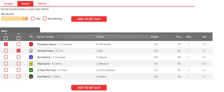 Exacta bet at BetOnline.
