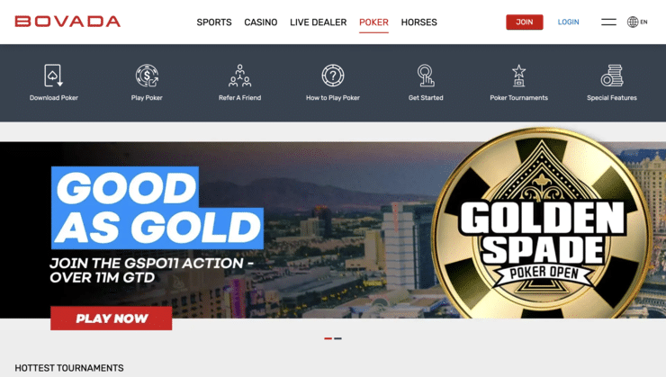 Bovada Michigan Online Poker Site