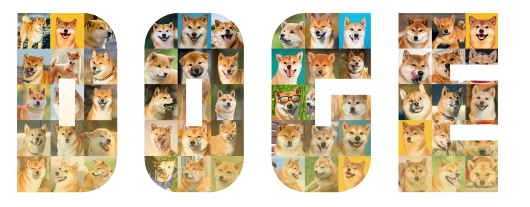 DRC-20 and Dogecoin ecosystem 