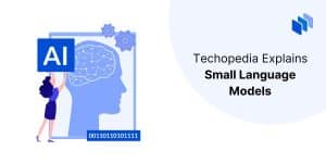 What is a Small Language Model (SLM)?