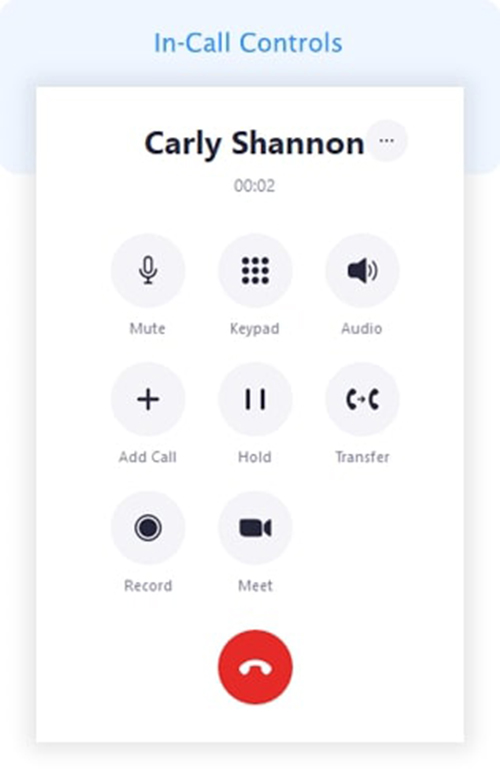 Screenshot of Zoom VoIP app.