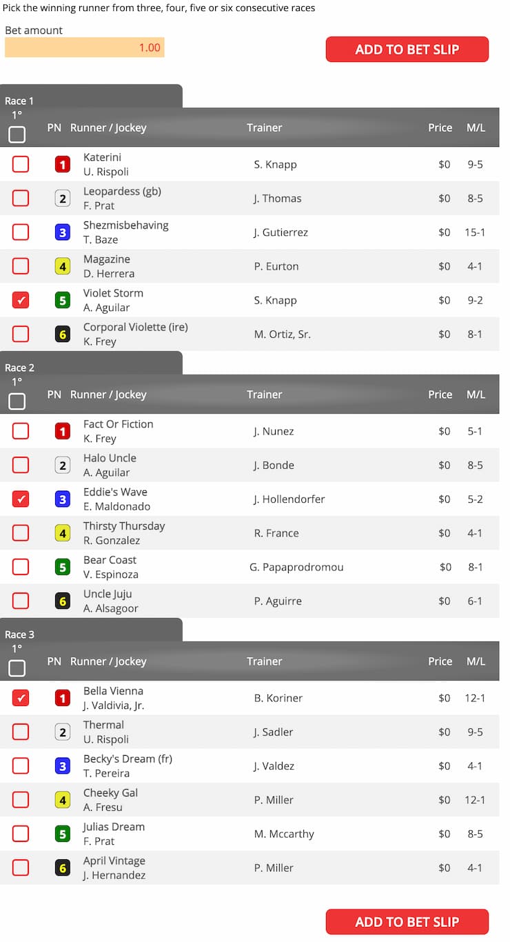 Screenshot of a horse racing betting interface displaying race details, runner names, jockeys, trainers, odds, and options to place bets.