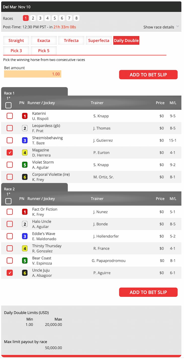 daily double bet example