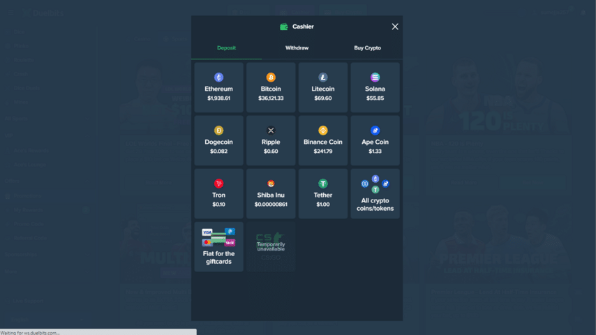 Duelbits casino deposit option