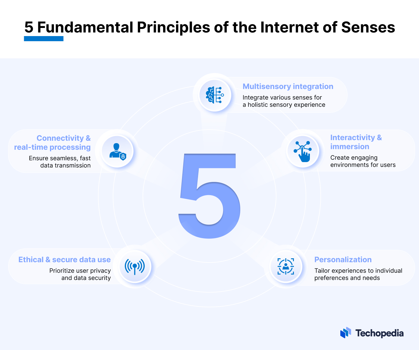 5 Fundamental Principles of the Internet of Senses