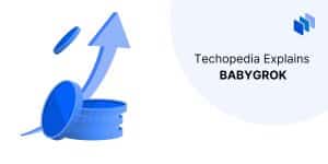 What is Baby Grok (BABYGROK)?