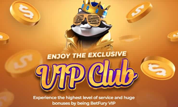 BetFury Casino Review VIP Club