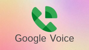 Google Voice Logo