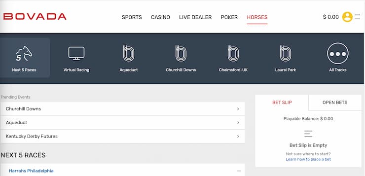 Racebook at Bovada
