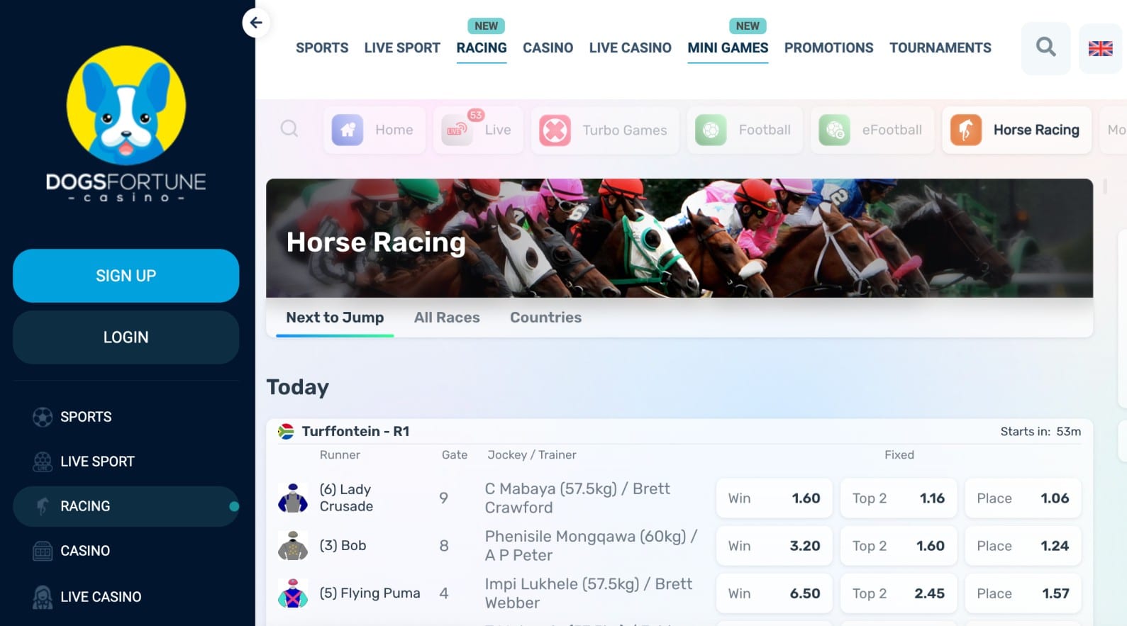 DogsFortune horse racing betting
