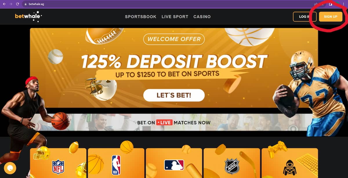 BetWhale review sign up button
