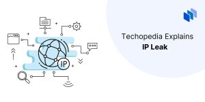 What is IP Leak