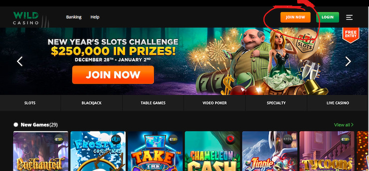 Wild Casino homepage join now