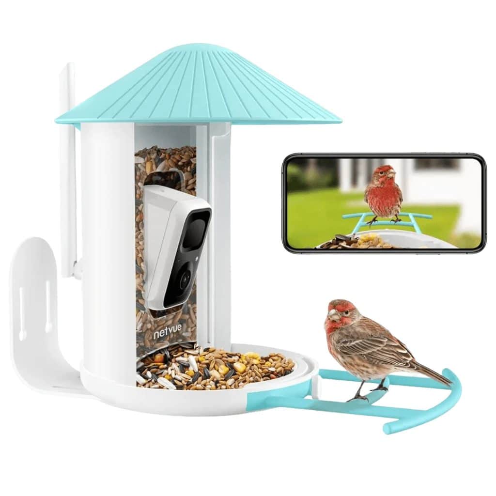 AI Bird Feeder