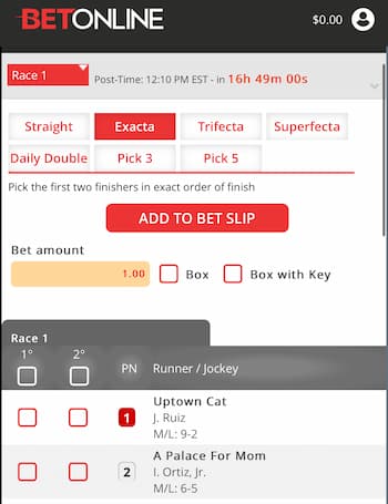 Betonline racebook odds