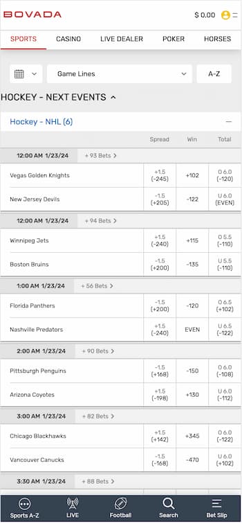 Bovada NHL betting