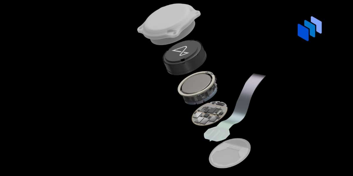 Neuralink Brain Transplant