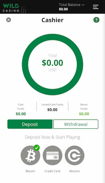3. Make a deposit