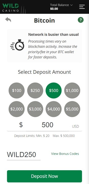 Deposit Funds and Claim Your Bonus