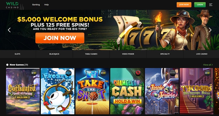 Wild Casino Homepage