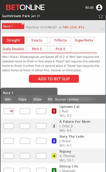 5. Place a bet