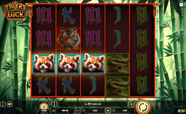 Tiger's Luck Slot Reels - Techopedia