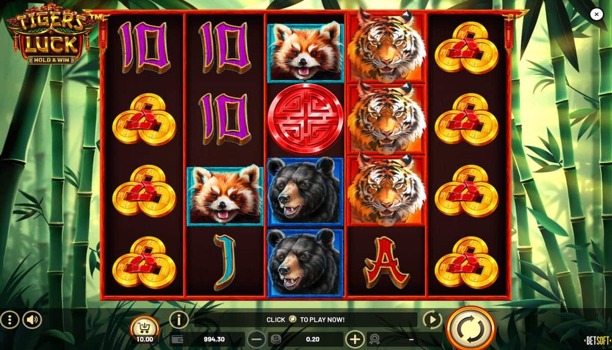Tiger's Luck