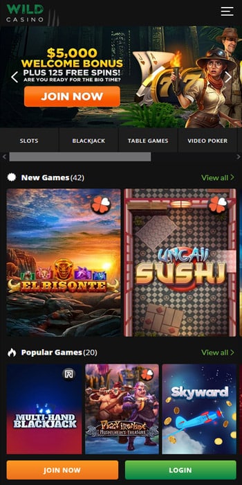 Wild Casino