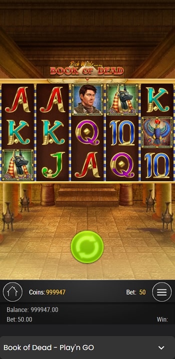 Book of Dead Mobile Slot