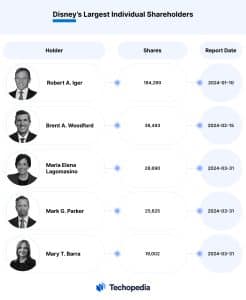 Top 5 Disney Individual Investors 