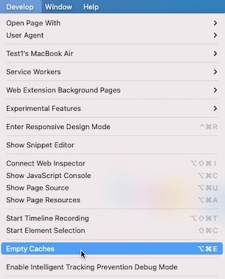 Click Empty Caches in Safari's develop menu