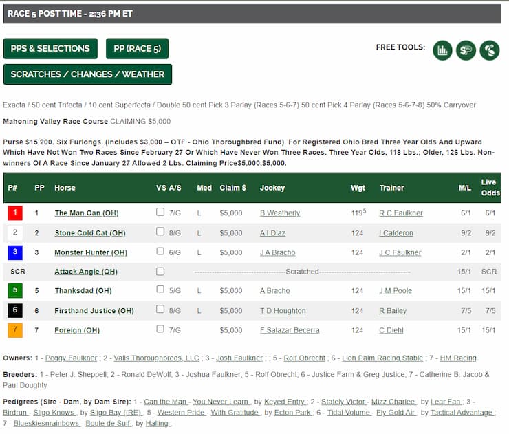 Horse Racing Program Page