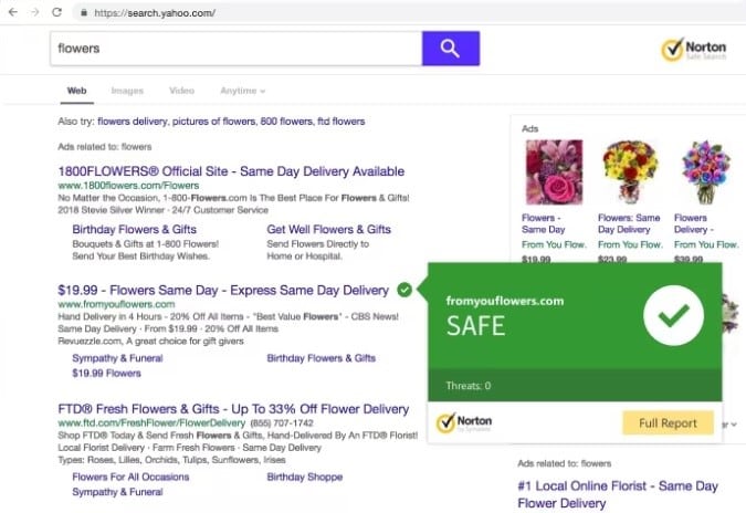 Norton Web Protection