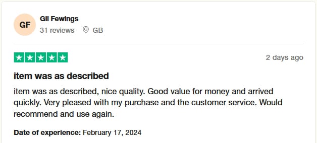 A user review of Temu on TrustPilot