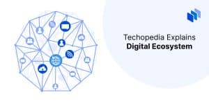 What is a Digital Ecosystem?