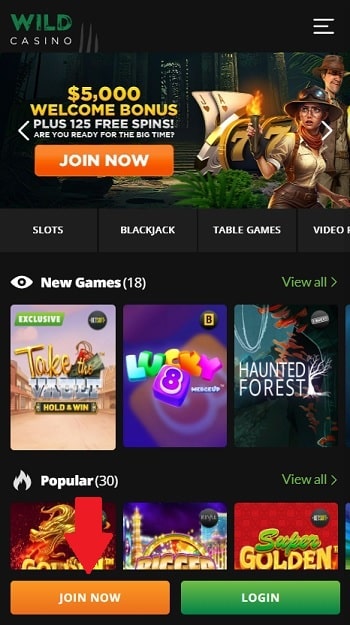 Go to the Best Online Slots Site