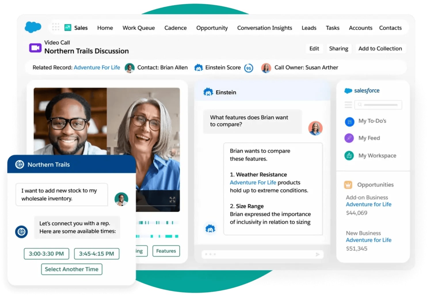 Salesforce SaaS CRM Interface