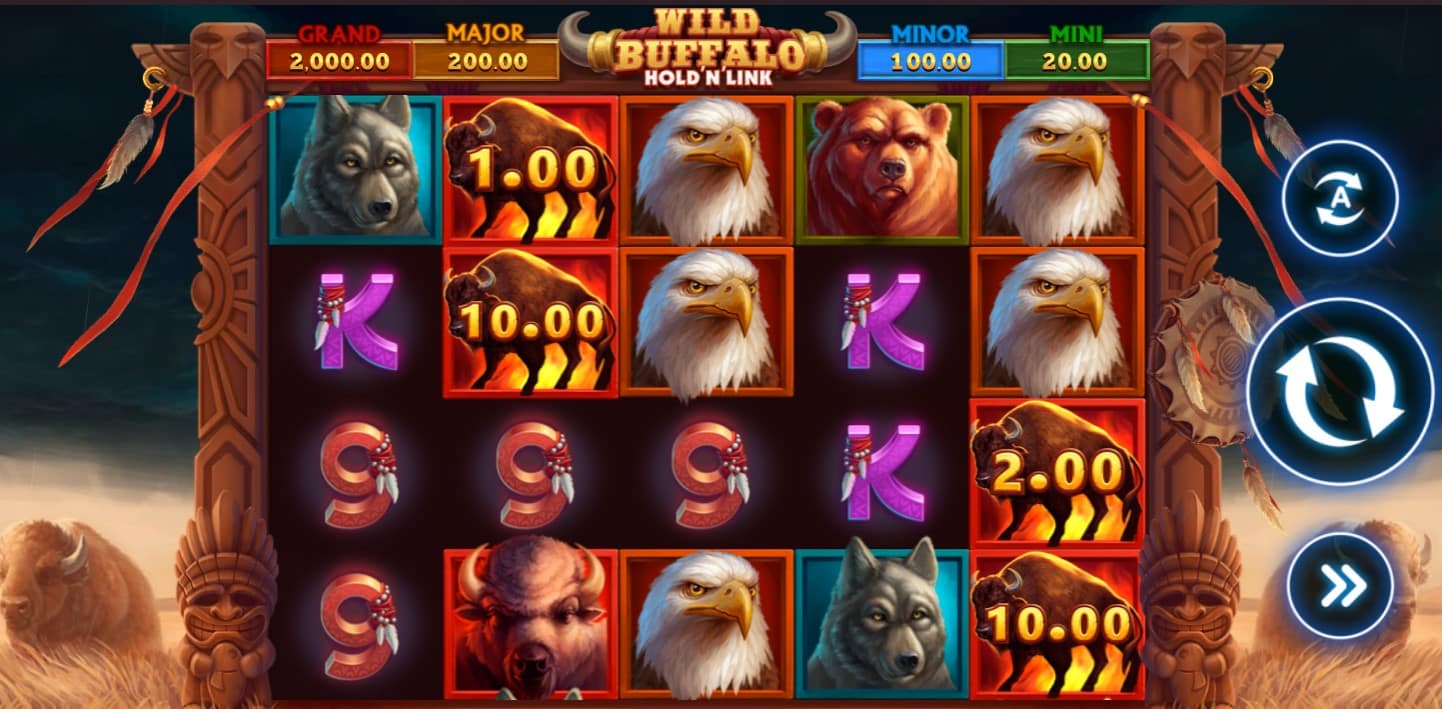 wild buffalo