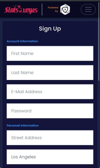 Provide Your Information and Any Bonus Codes