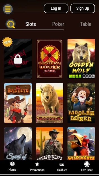 Lucky Creek Instant Play Casino