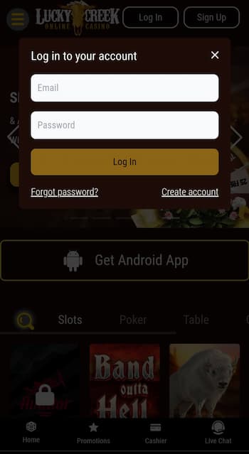 Log Into Your New Account