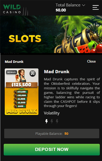 Play High Roller Casino Games