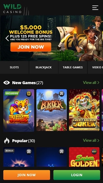 Wild Casino Instant Play