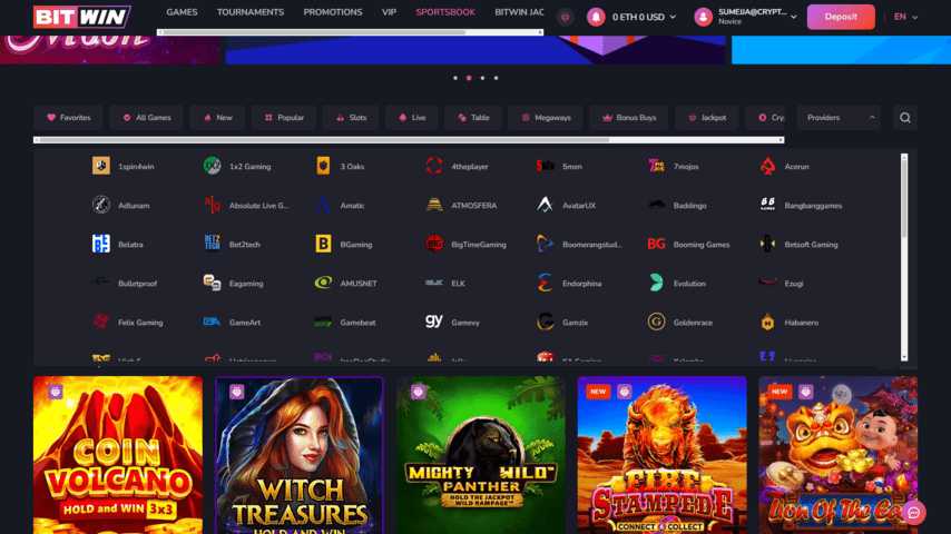 BitWin software providers