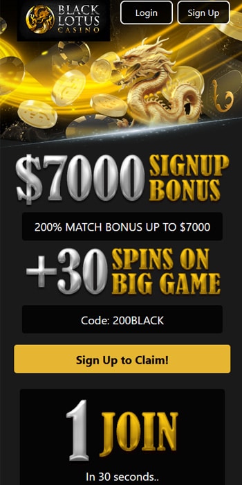 Visit Black Lotus Casino