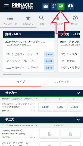 ピナクル 入金