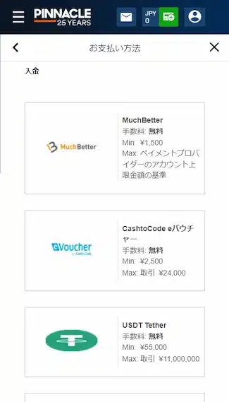 ピナクルカジノ 入金