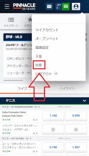 ピナクル 出金