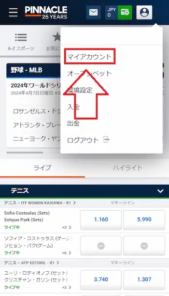 ピナクル 本人確認