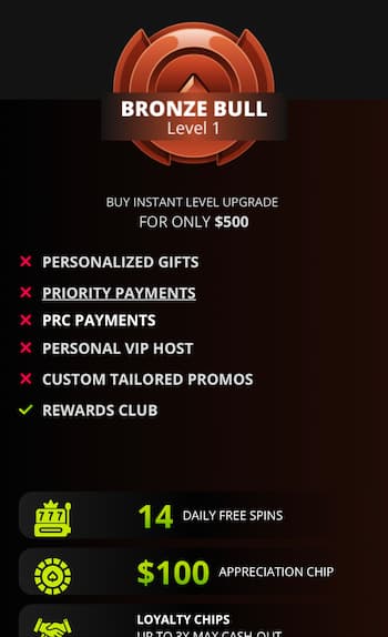 Raging Bull Casino VIP program